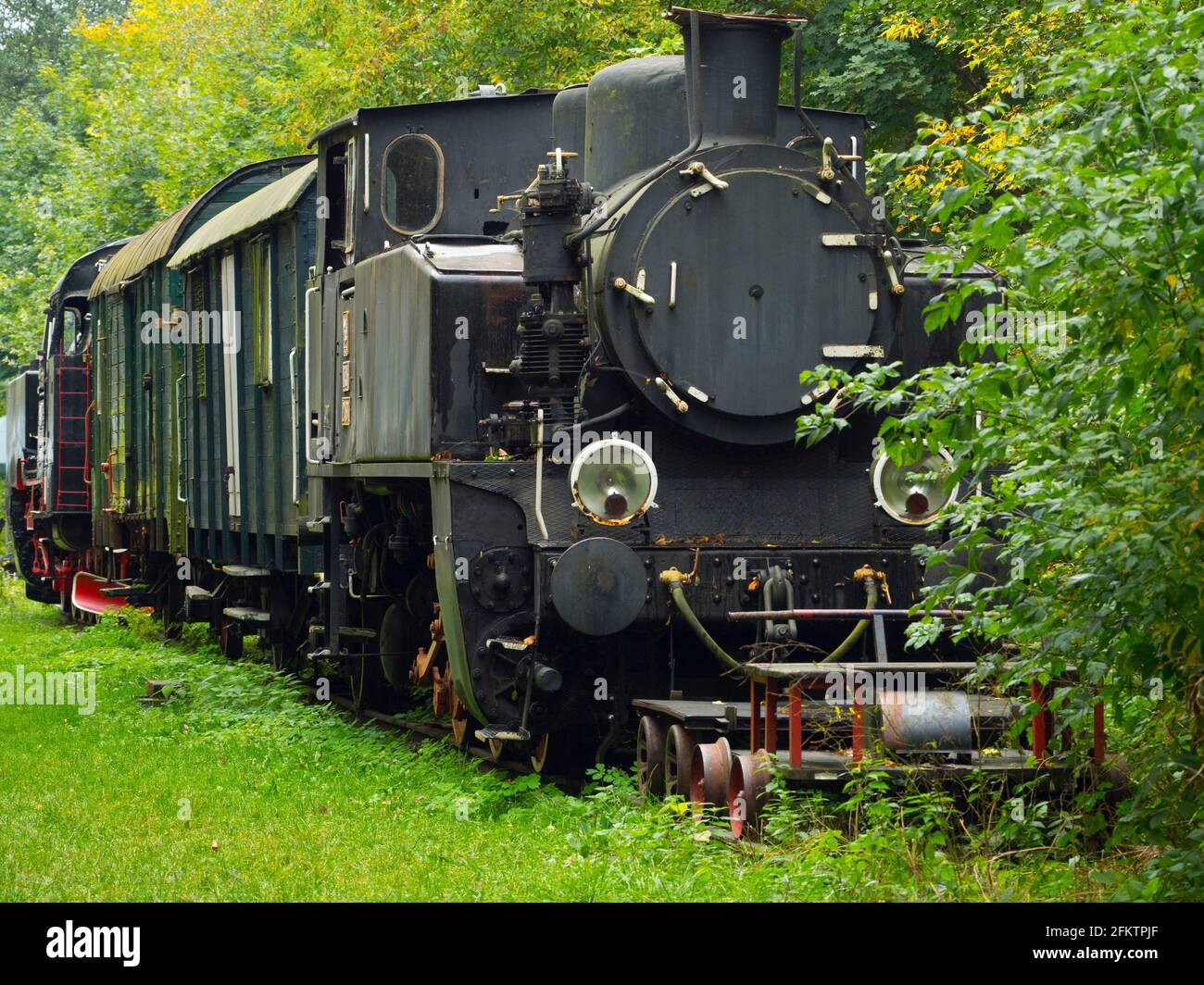 Pologne. Bialowieza. Ancienne locomotive Banque D'Images
