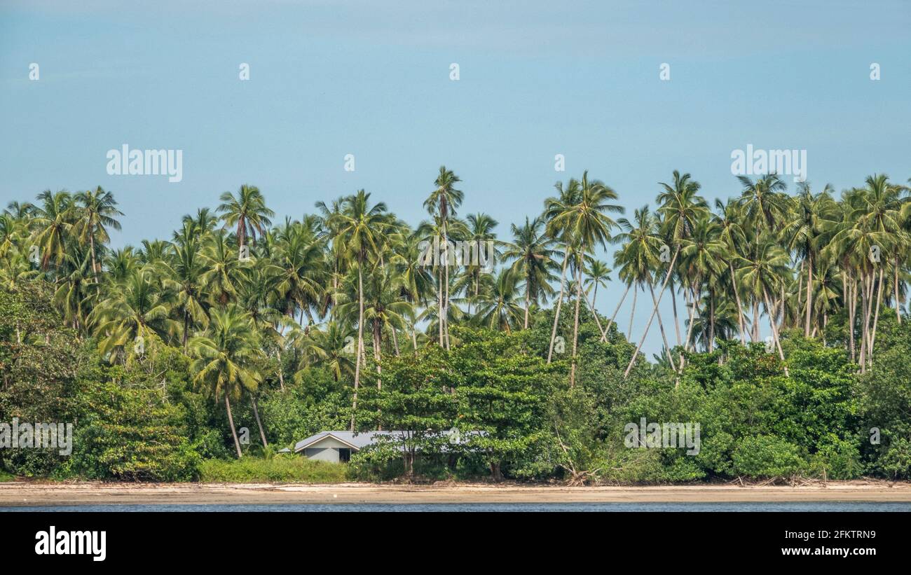 Croisière le long de la rive aérienne de Sibu Laut-Telaga, Matang, Sarawak, Malaisie Banque D'Images