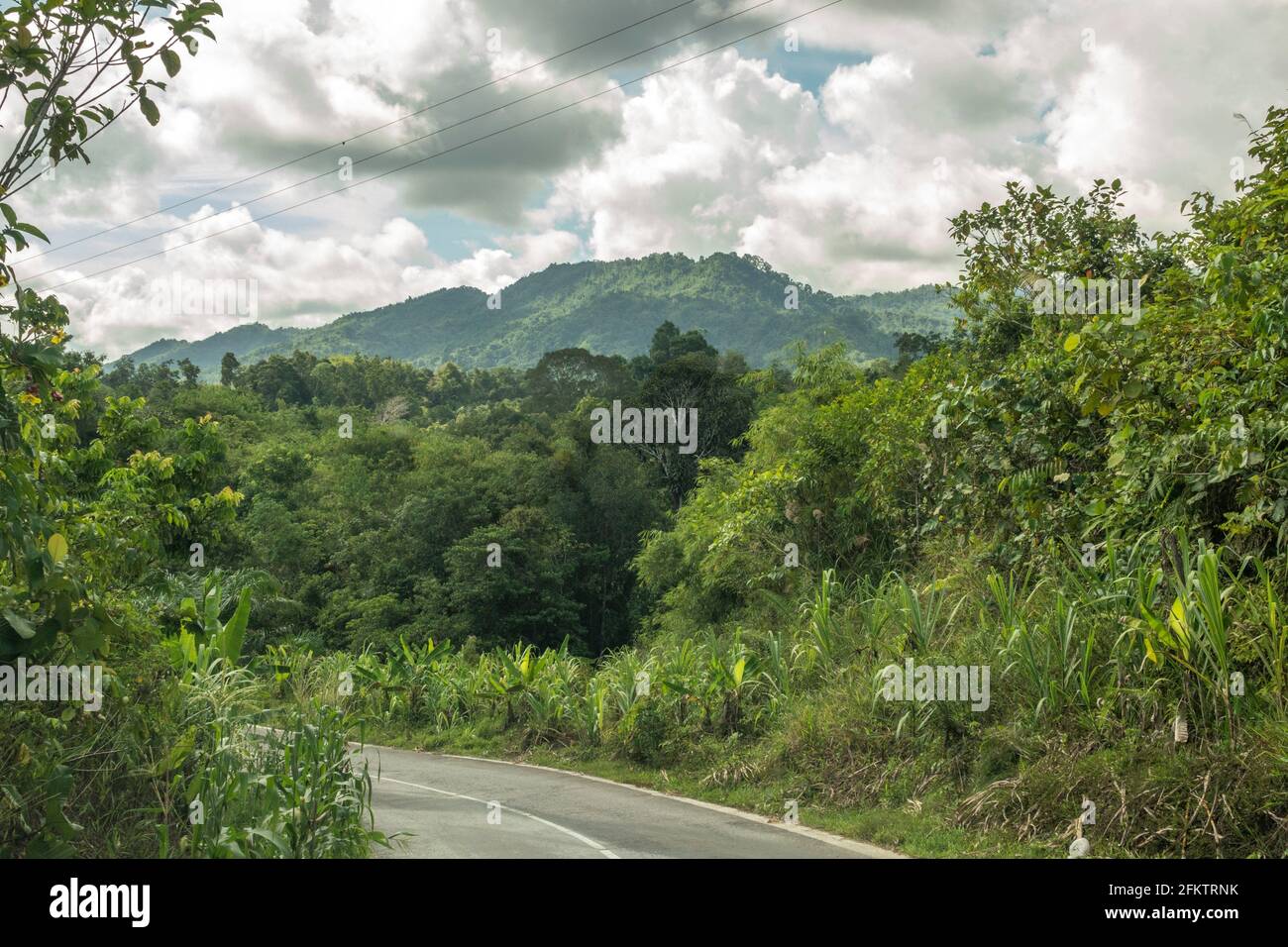 Kampung Semaru Road, Padawan, Sarawak, Malaisie orientale Banque D'Images