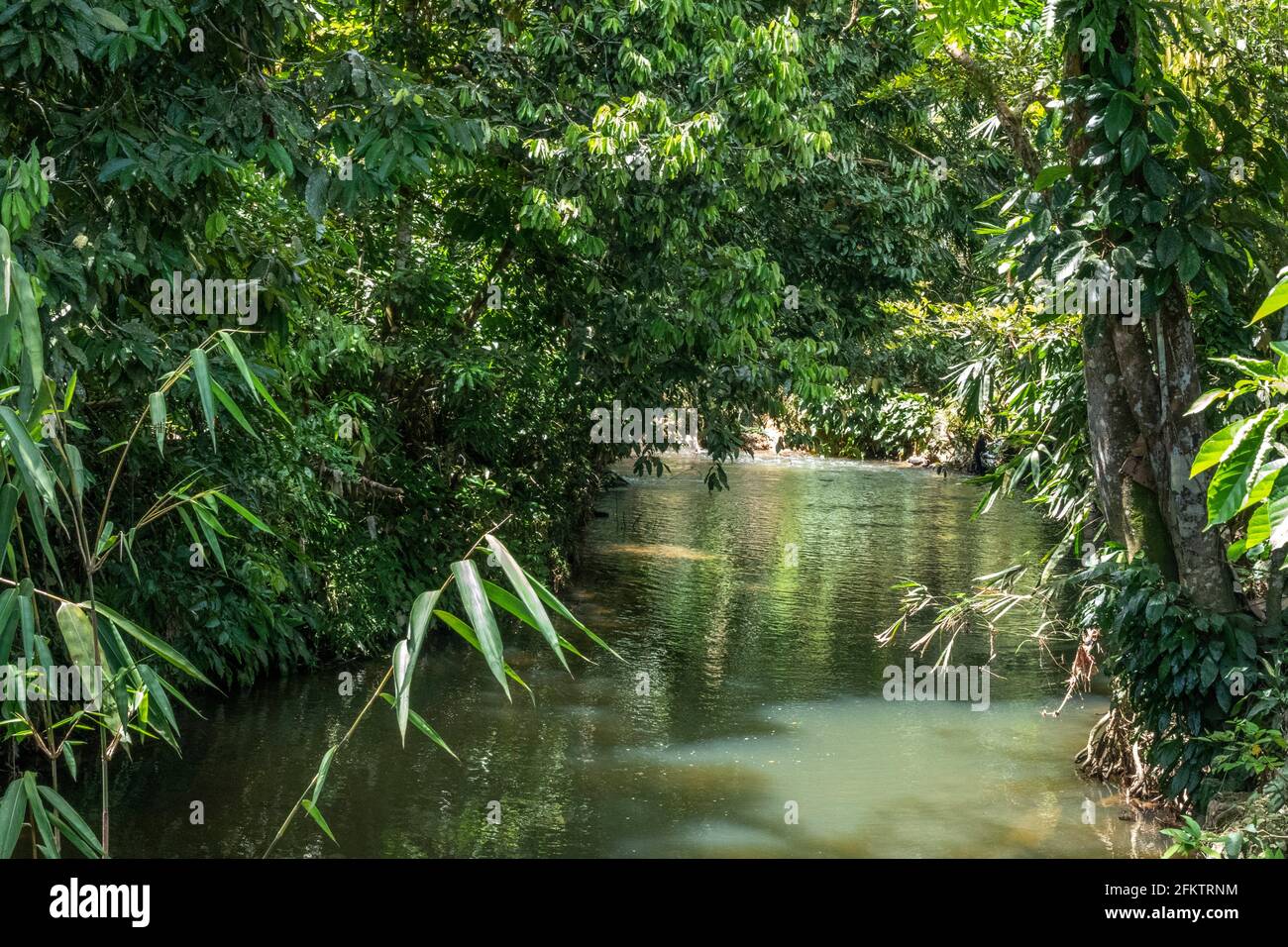 Un petit ruisseau à Kampung Amo, Serian, Sarawak, Malaisie orientale Banque D'Images