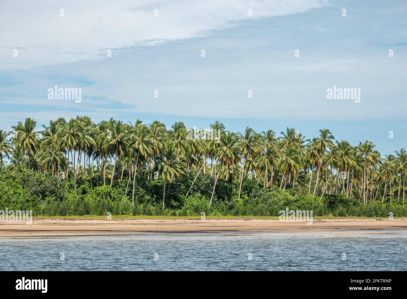 Croisière le long de la rive aérienne de Sibu Laut-Telaga, Matang, Sarawak, Malaisie Banque D'Images