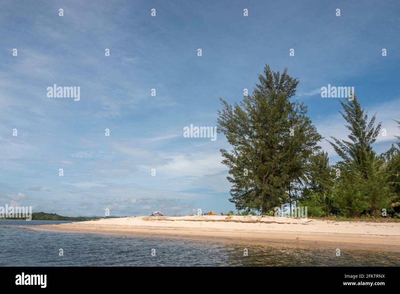 Croisière le long de la rive aérienne de Sibu Laut-Telaga, Matang, Sarawak, Malaisie Banque D'Images