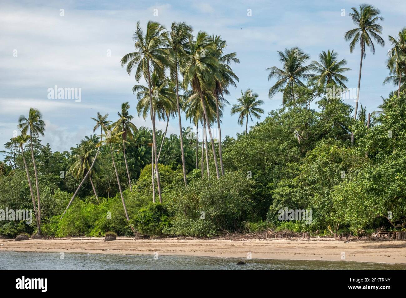 Croisière le long de la rive aérienne de Sibu Laut-Telaga, Matang, Sarawak, Malaisie Banque D'Images