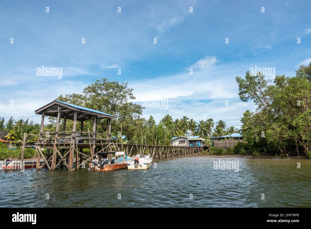 Croisière le long de la rive aérienne de Sibu Laut-Telaga, Matang, Sarawak, Malaisie Banque D'Images