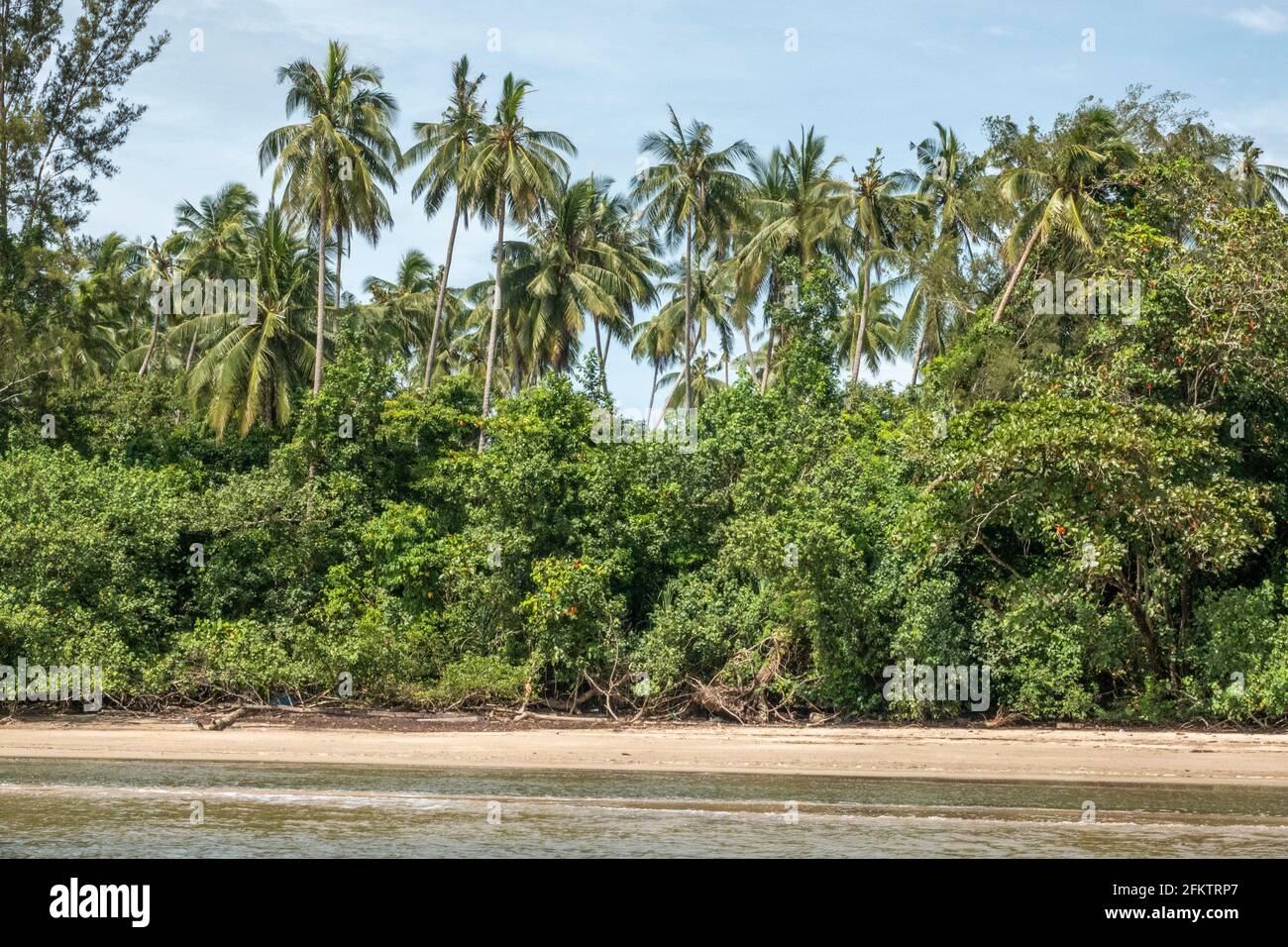 Croisière le long de la rive aérienne de Sibu Laut-Telaga, Matang, Sarawak, Malaisie Banque D'Images
