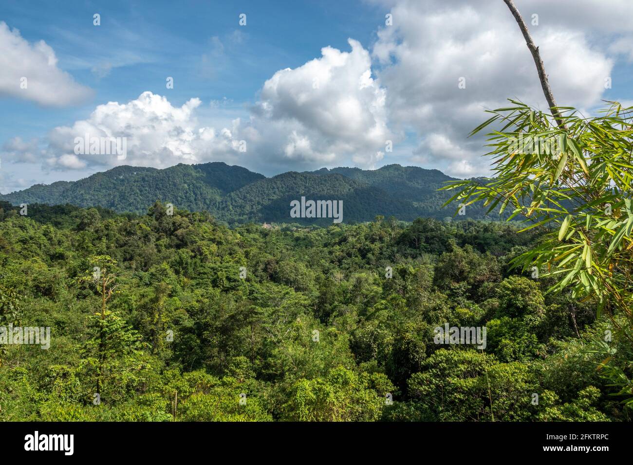 Vue sur les Highlands de Borneo à Kampung Semaru, Padawan, Sarawak, Malaisie orientale Banque D'Images