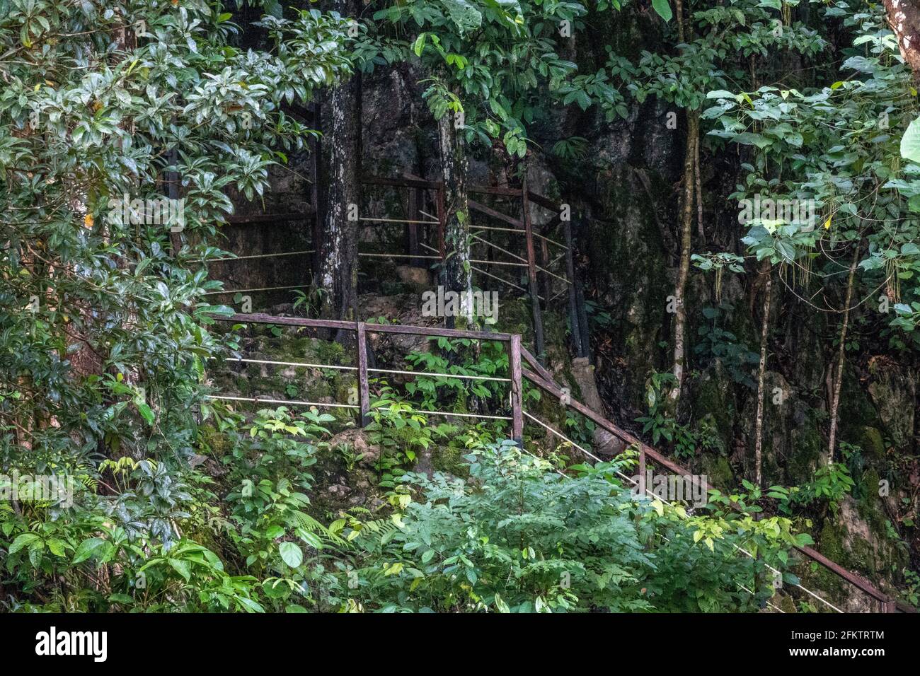 Abba Paradise, Taiton, Bau, Sarawak, Malaisie orientale Banque D'Images