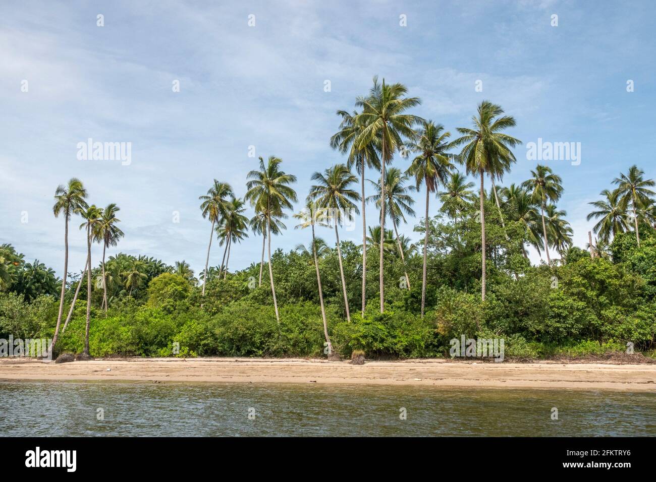 Croisière le long de la rive aérienne de Sibu Laut-Telaga, Matang, Sarawak, Malaisie Banque D'Images