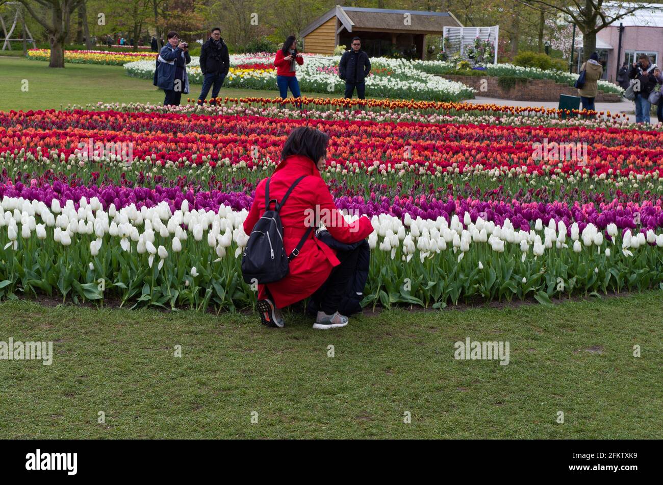 Jardins de Keukenhof, Lisse, pays-Bas ; femme en blouson rouge posant par des lits de fleurs colorés Banque D'Images