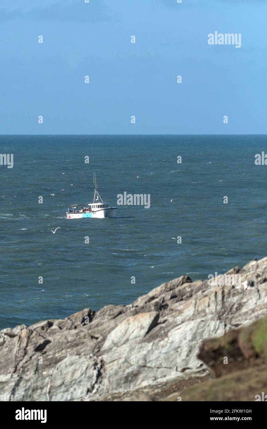 Le bateau de pêche trois Jays SS333 se ramenant au port en passant par Towan Head sur la côte de Newquay en Cornouailles. Banque D'Images