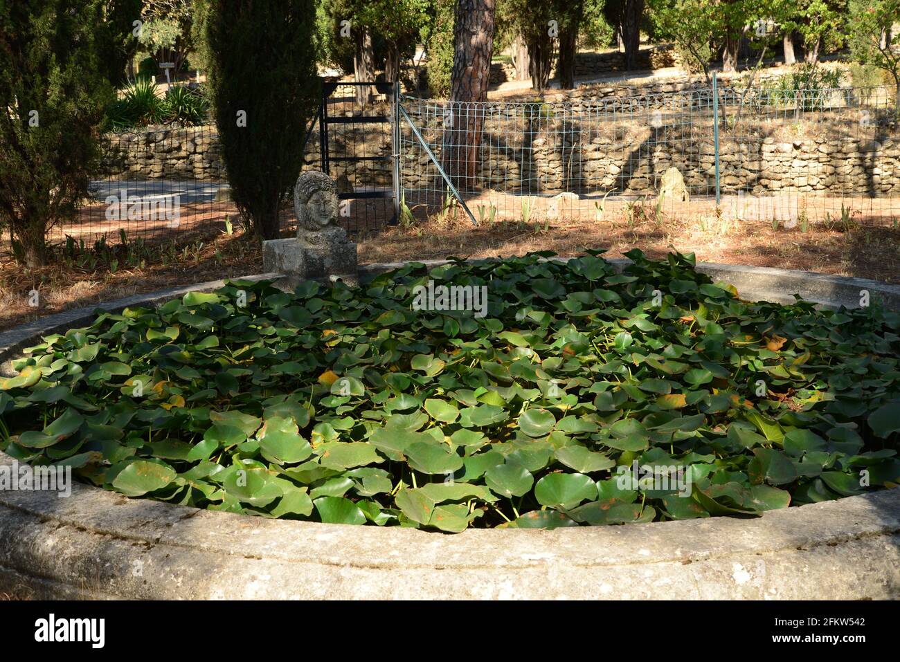 Lourmarin bassin Luberon du château Banque D'Images