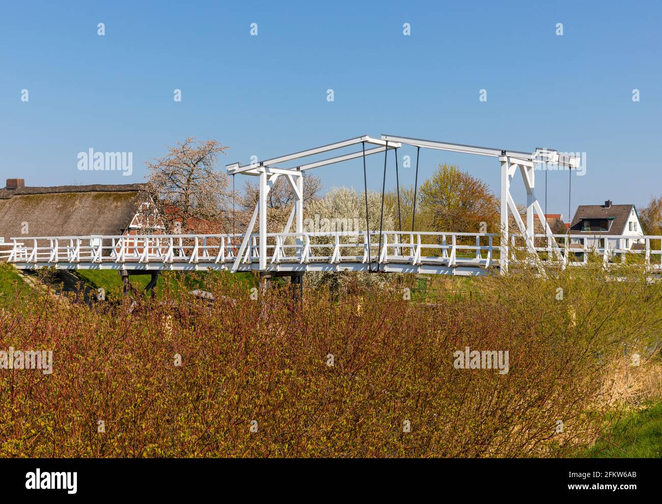 Pont en bois traversant la rivière Lühe dans la région d'Altes Land en Basse-Saxe, ferme et arbres en fleurs en arrière-plan Banque D'Images