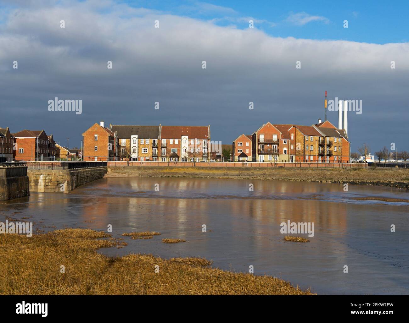 Logement à Victoria Docks, Hull, Humberside, East Yorkshire, Angleterre Banque D'Images