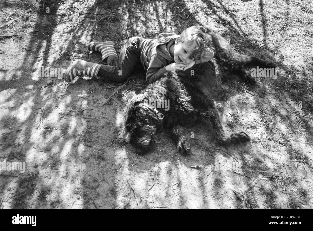 Garçon de quatre ans avec son chien de labradoodle, Medstead, Hampshire, Angleterre, Royaume-Uni. Banque D'Images