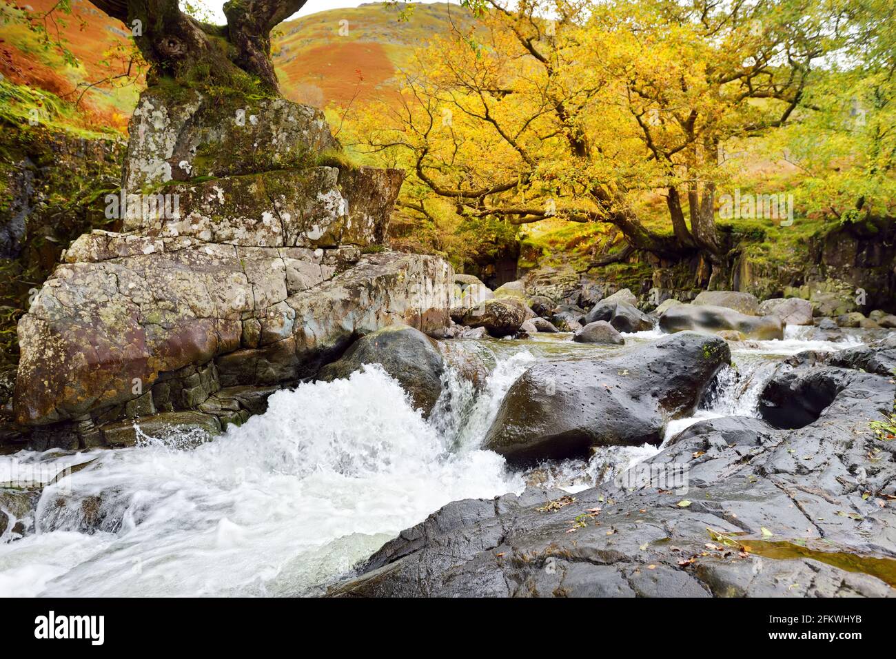 Les eaux sauvages de Stonethwaite Beck, une petite rivière formée au confluent de Langstrath Beck et de Greenup Gill sous Eagle Crag. Explorer la belle n Banque D'Images