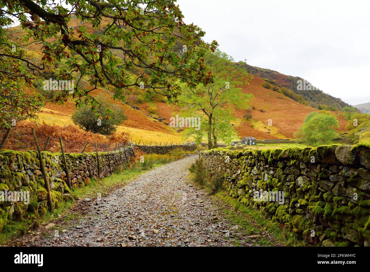 Sentier menant à Stonethwaite Beck, une petite rivière formée au confluent de Langstrath Beck et de Greenup Gill sous Eagle Crag. Explorer l'aventure Banque D'Images