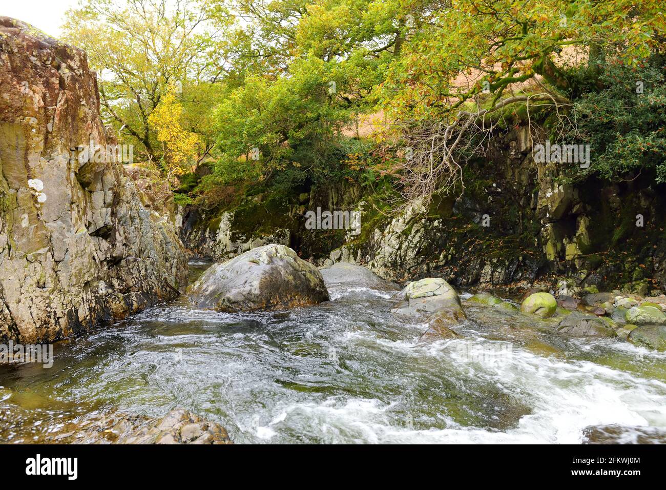 Les eaux sauvages de Stonethwaite Beck, une petite rivière formée au confluent de Langstrath Beck et de Greenup Gill sous Eagle Crag. Explorer la belle n Banque D'Images