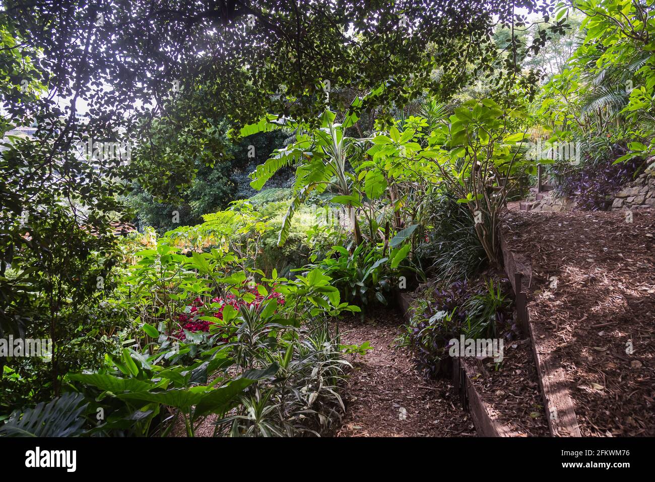 Wendy Whiteley's Secret Garden sur la rive nord inférieure du port de Sydney. Il est ouvert au public pour les promenades, les pique-niques et les vues générales sur le port. Wend Banque D'Images