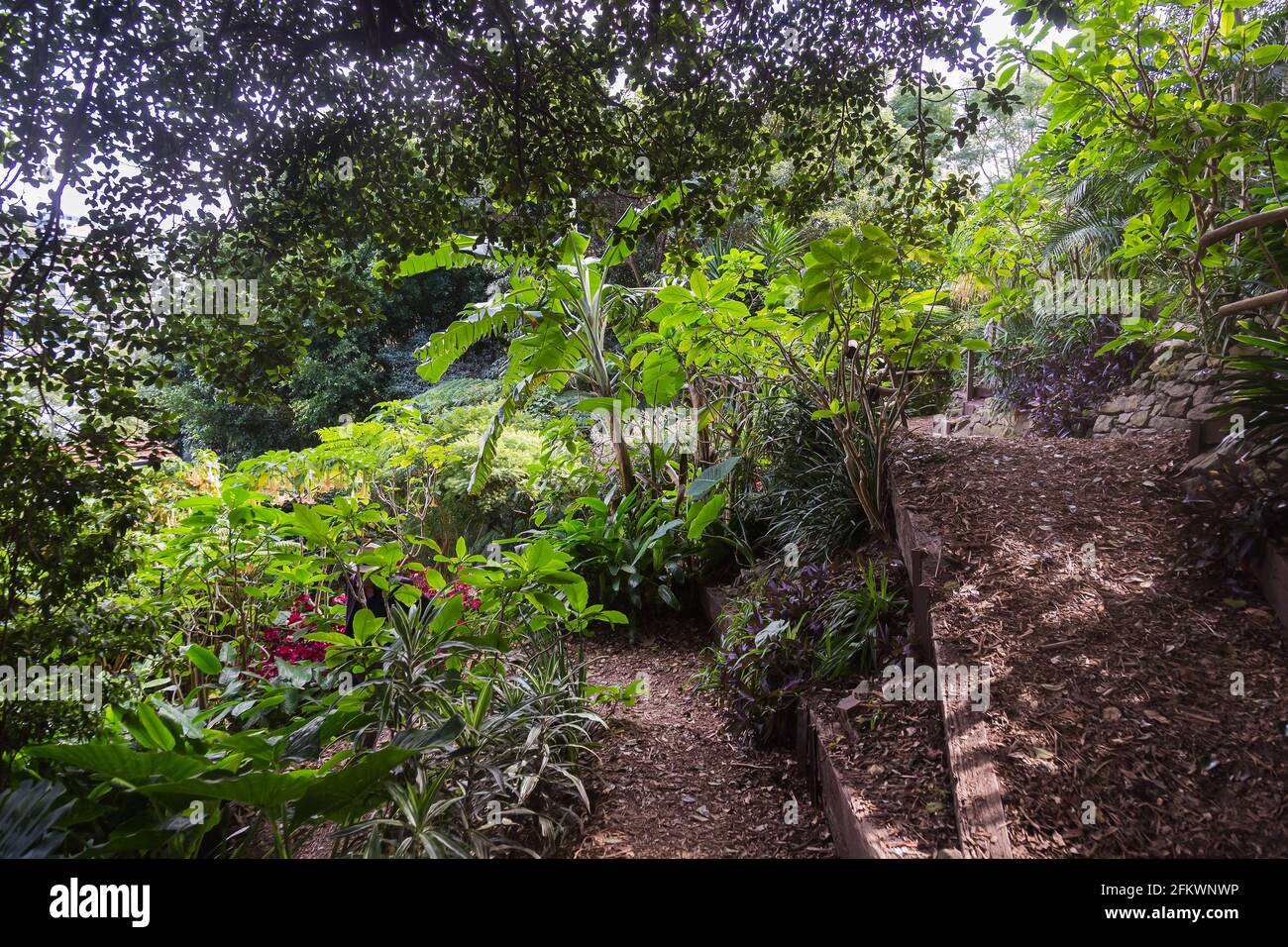 Wendy Whiteley's Secret Garden sur la rive nord inférieure du port de Sydney. Il est ouvert au public pour les promenades, les pique-niques et les vues générales sur le port. Wend Banque D'Images