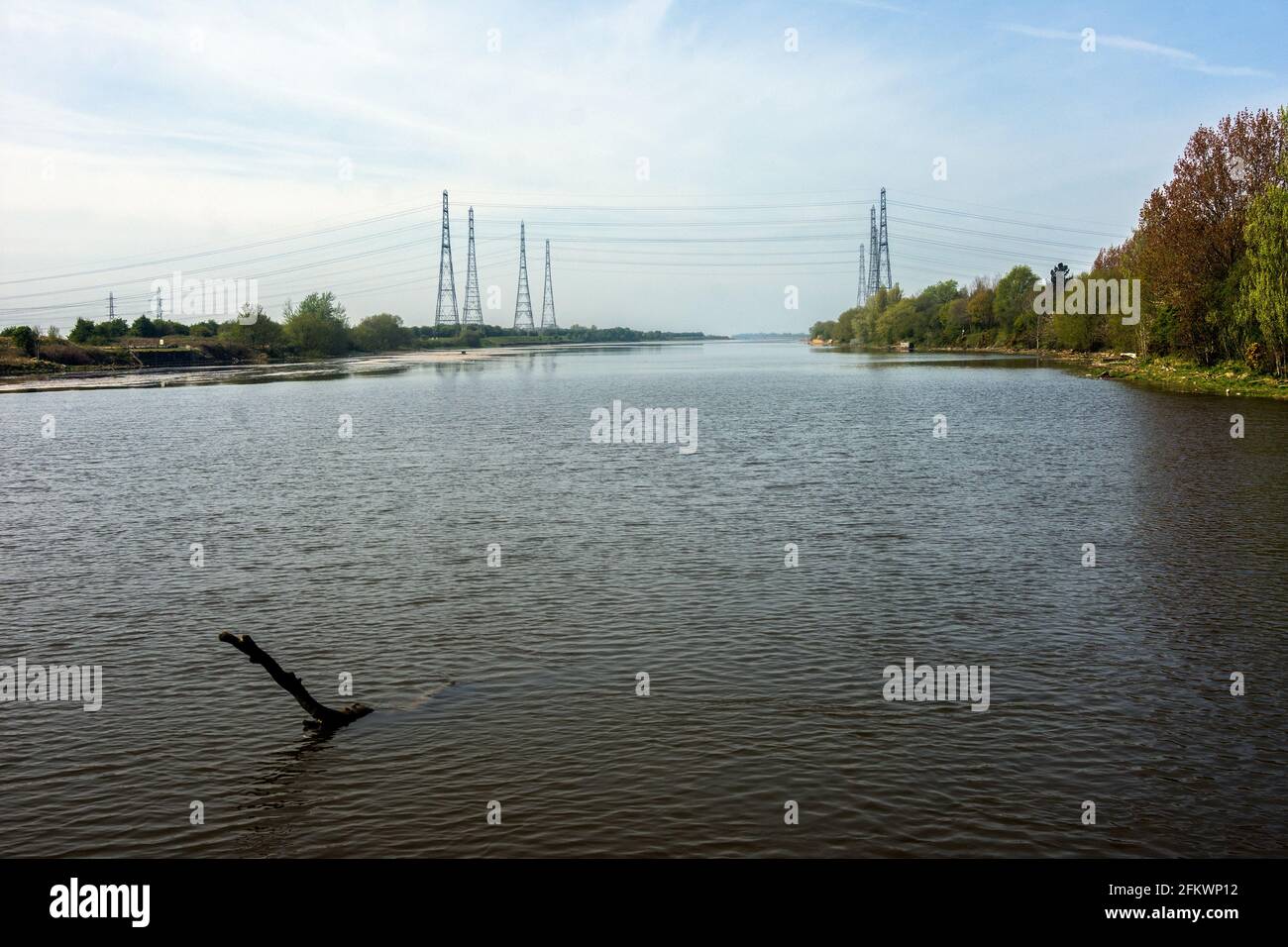Une vieille branche dépasse de la rivière Ribble le jour du printemps. Banque D'Images