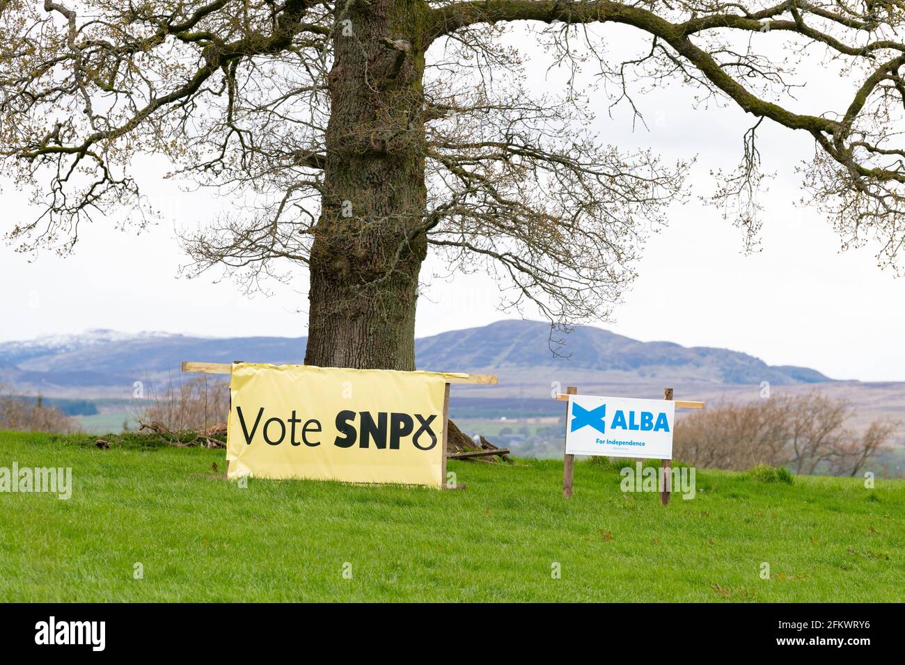 SNP et Alba élection du Parlement écossais 2021 bannières côte à côte dans le champ à Stirling, Écosse, Royaume-Uni Banque D'Images
