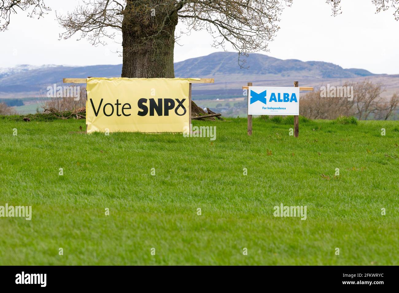 SNP et Alba élection du Parlement écossais 2021 bannières côte à côte dans le champ à Stirling, Écosse, Royaume-Uni Banque D'Images