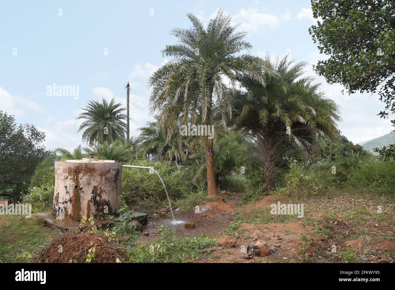 Réservoir d'eau du village Lanjigadh de la tribu Desia Kondha d'Odisha, Inde Banque D'Images