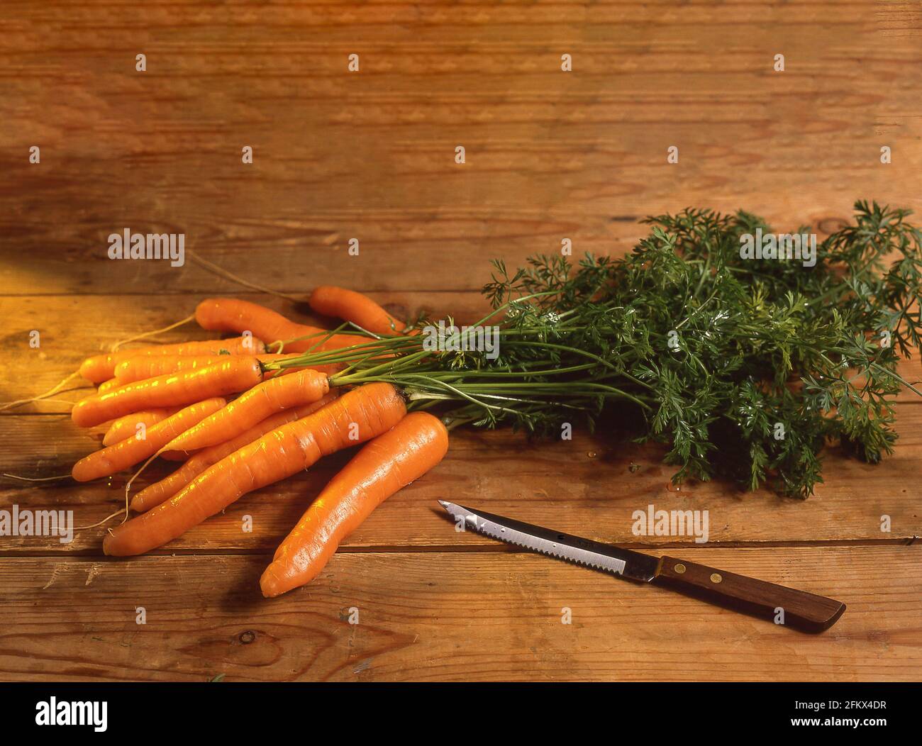 Les carottes avec des tiges sur le billot, Berkshire, Angleterre, Royaume-Uni Banque D'Images