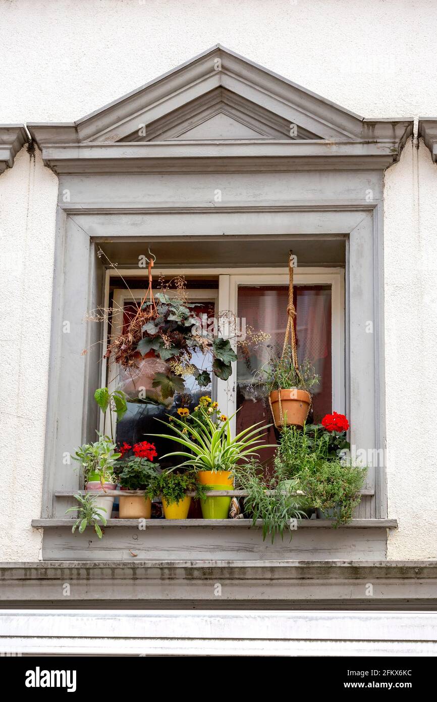 Fenêtre décorée de fleurs Banque D'Images