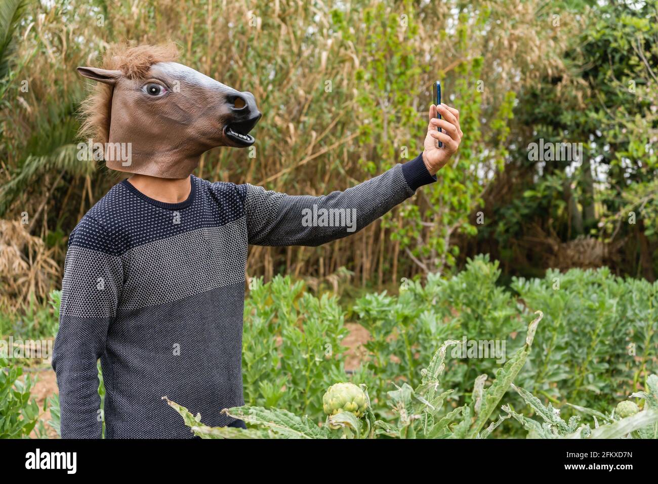 Homme avec masque de tête de cheval prenant un selfie sur smartphone à l'extérieur dans le jardin de légumes. Humour et fantasy mâle utilisant le téléphone portable, la technologie style de vie.. Banque D'Images