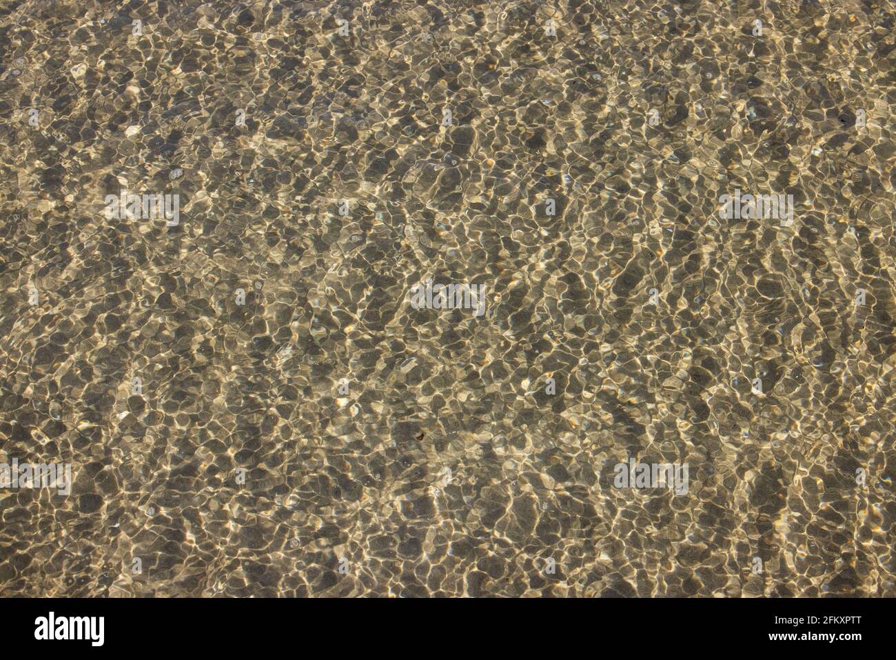 Eaux peu profondes cristallines à Clam Harbour Beach, Nouvelle-Écosse, Canada. Banque D'Images
