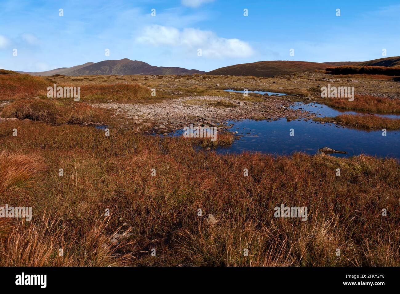 Il y a beaucoup de petits étangs sur des tourbières toujours humides sur le plateau Comeragh dans le comté de Waterford, en Irlande. Banque D'Images
