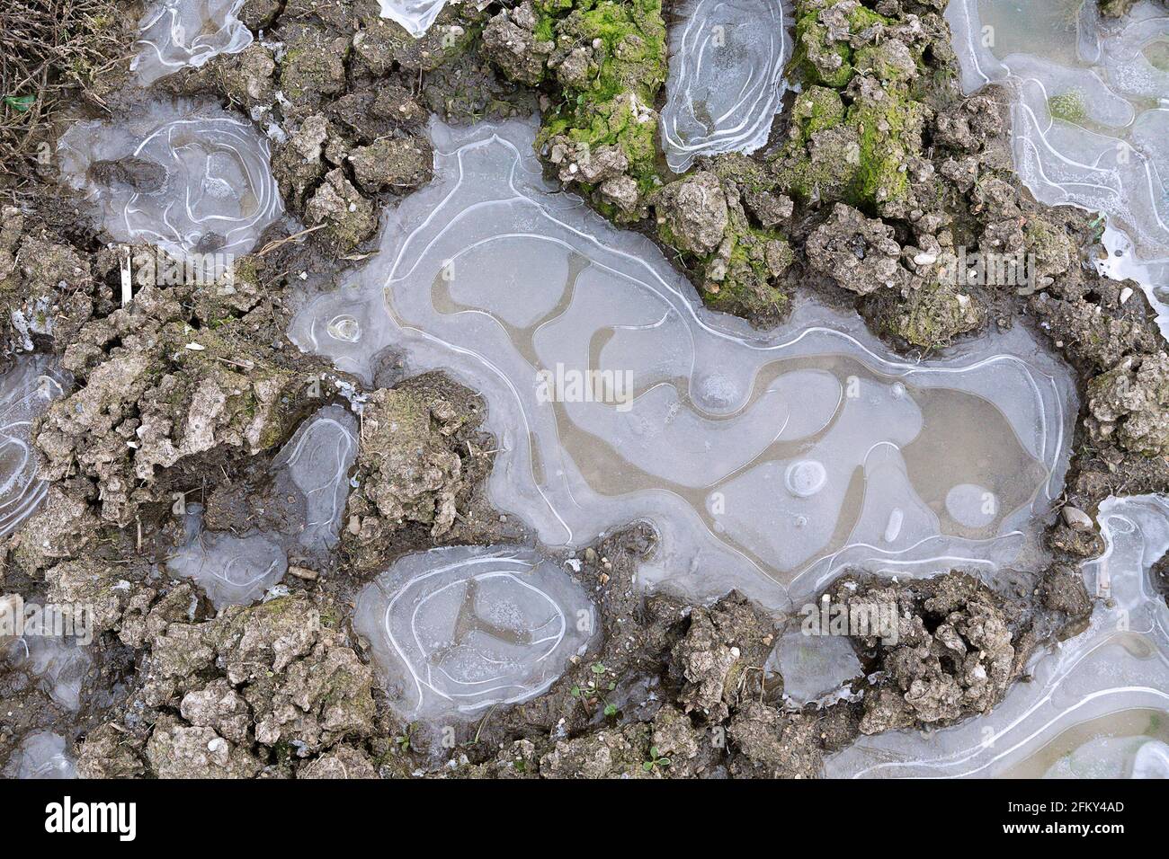 fond gelé de petits étangs sur terrain naturel boueux Banque D'Images