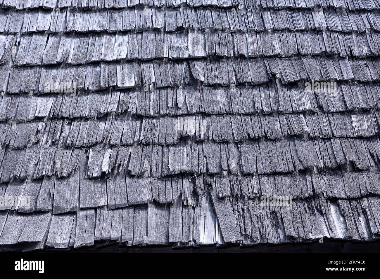 ancienne texture de bardeau en bois brisé; toit traditionnel endommagé qui a besoin d'être réparé Banque D'Images