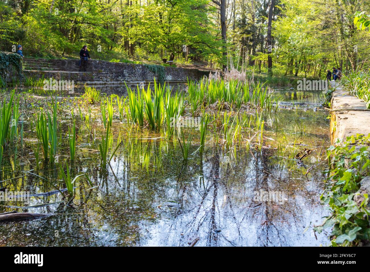 Piscine artificielle dans le jardin botanique de l'Université de Sopron avec des gens autour au printemps, Sopron, Hongrie Banque D'Images