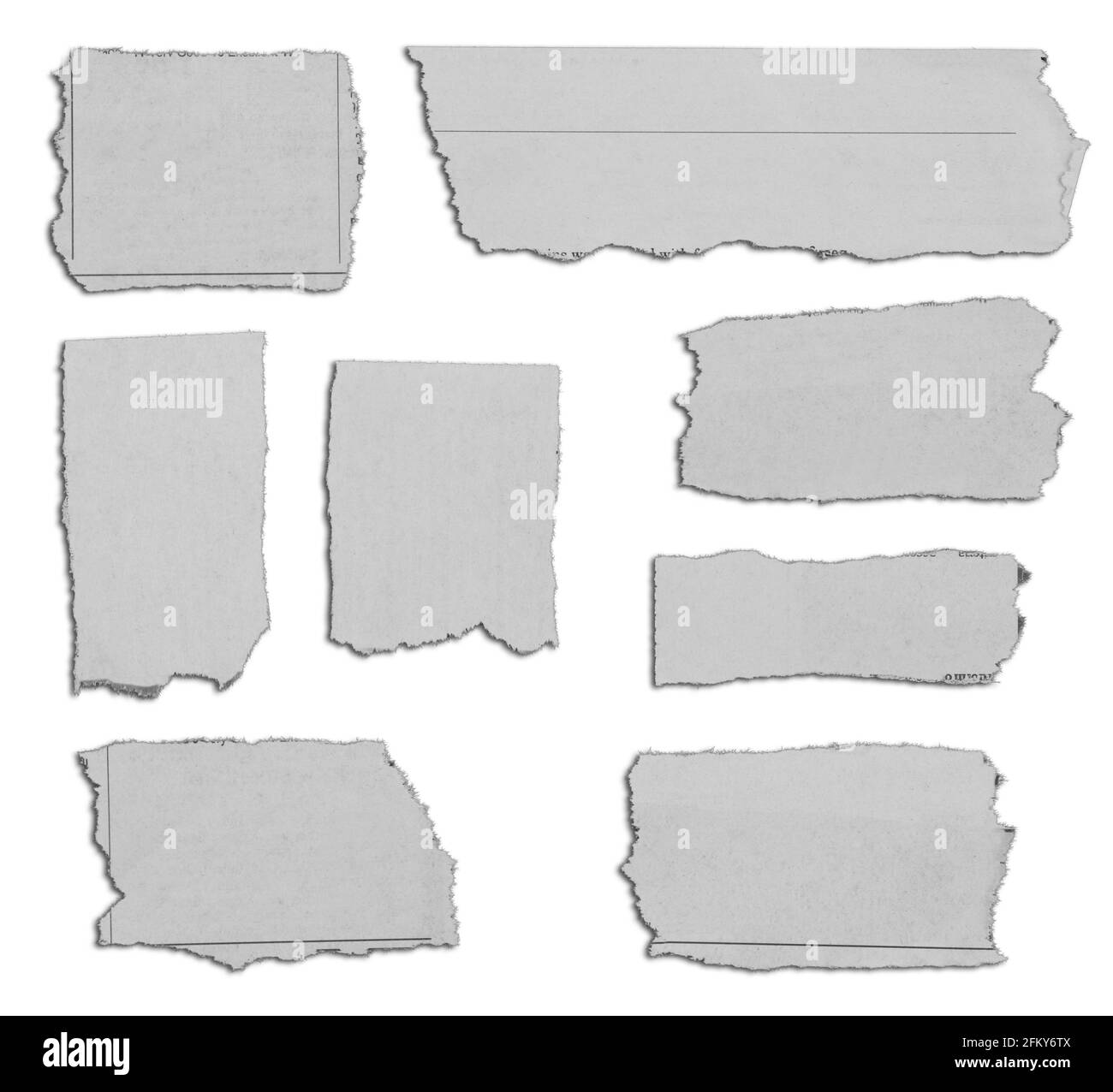 Huit morceaux de papier déchiré sur fond uni Banque D'Images
