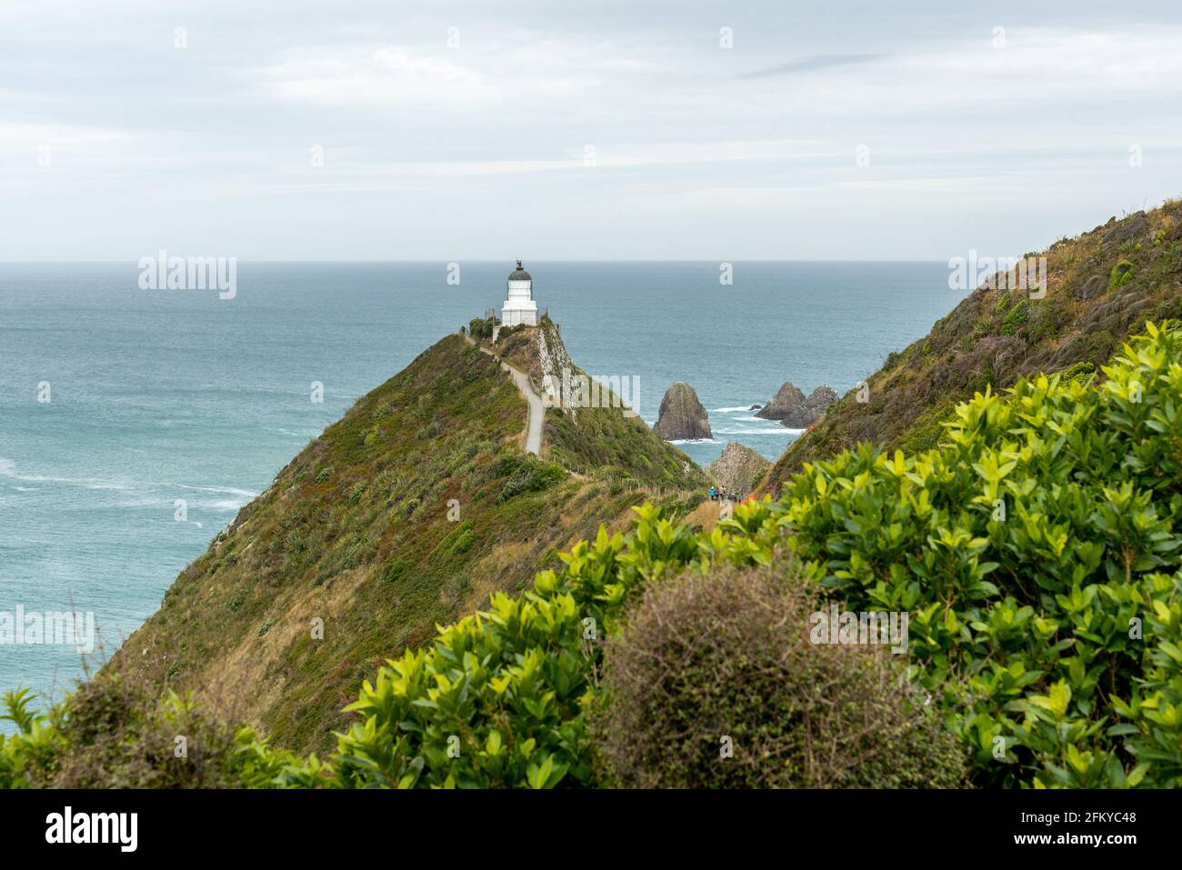 Célèbre paysage et phare à Nugget point, île du Sud de la Nouvelle-Zélande Banque D'Images
