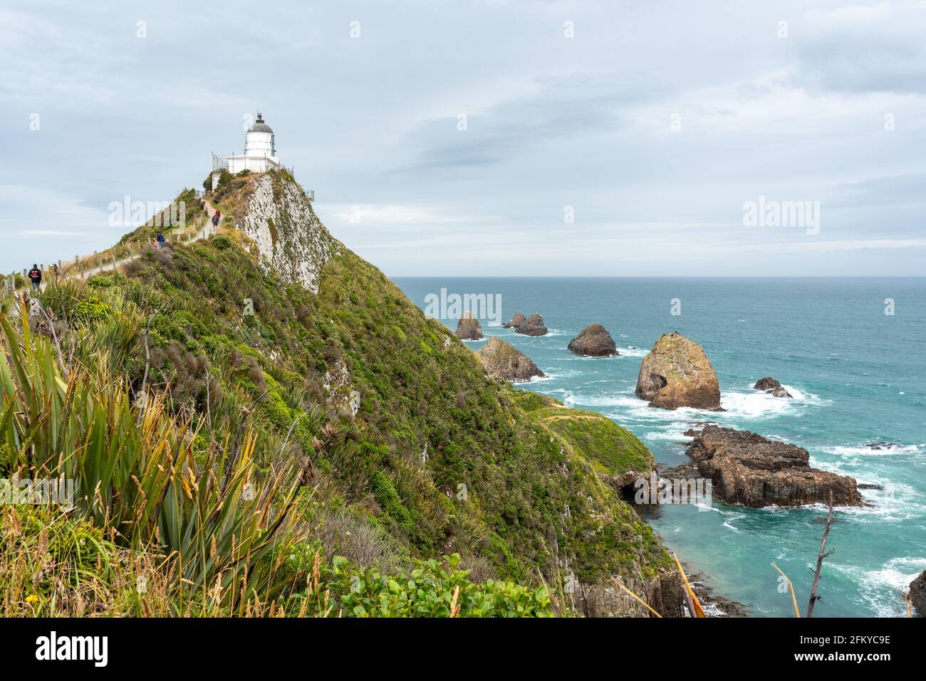 Célèbre paysage et phare à Nugget point, île du Sud de la Nouvelle-Zélande Banque D'Images