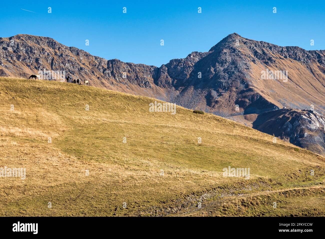 Col de la Madeleine à 2000 m d'altitude dans les alpes du Rhône, France Banque D'Images