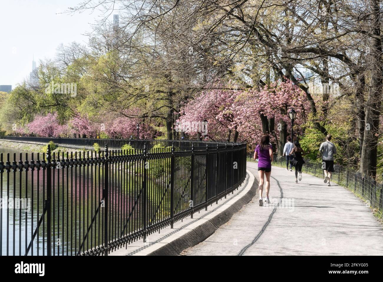 Le réservoir de Jogging, Central Park, NYC, USA Banque D'Images