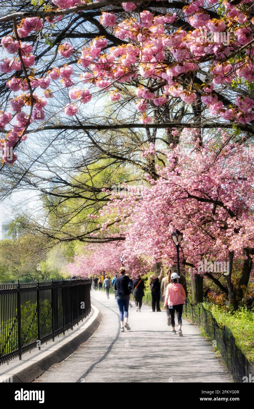Le réservoir de Jogging, Central Park, NYC, USA Banque D'Images