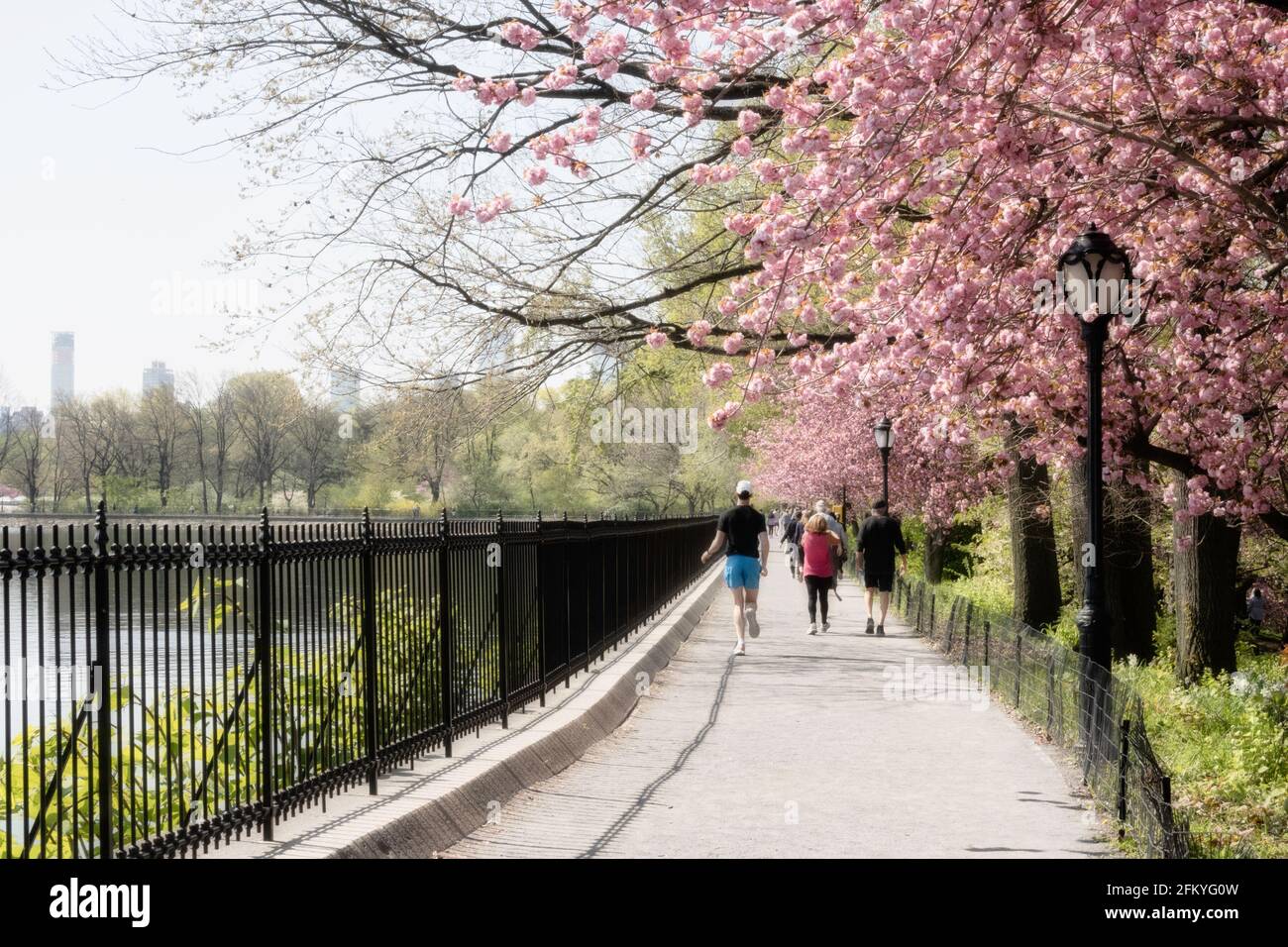 Le réservoir de Jogging, Central Park, NYC, USA Banque D'Images