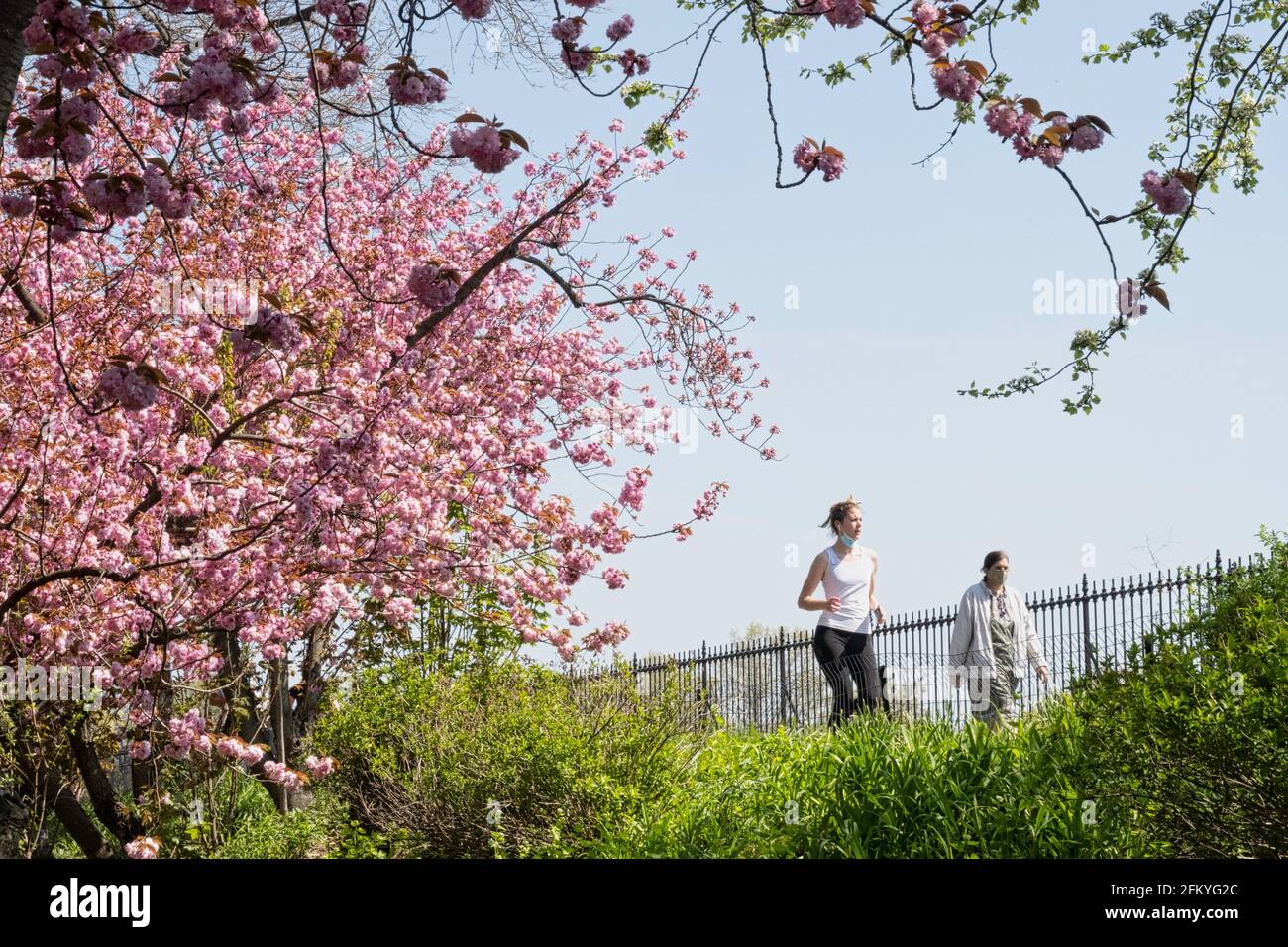 La piste de course à pied Stephanie et Fred Shuman à Central Park est populaire lors d'une Sunny Spring Day, New York, États-Unis Banque D'Images