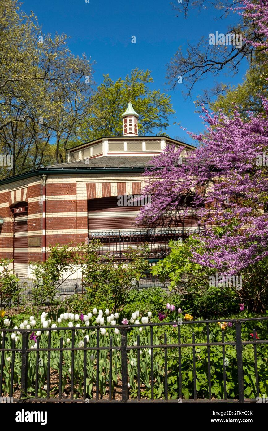 Le carrousel de Central Park est magnifique au printemps, à New York, aux États-Unis Banque D'Images