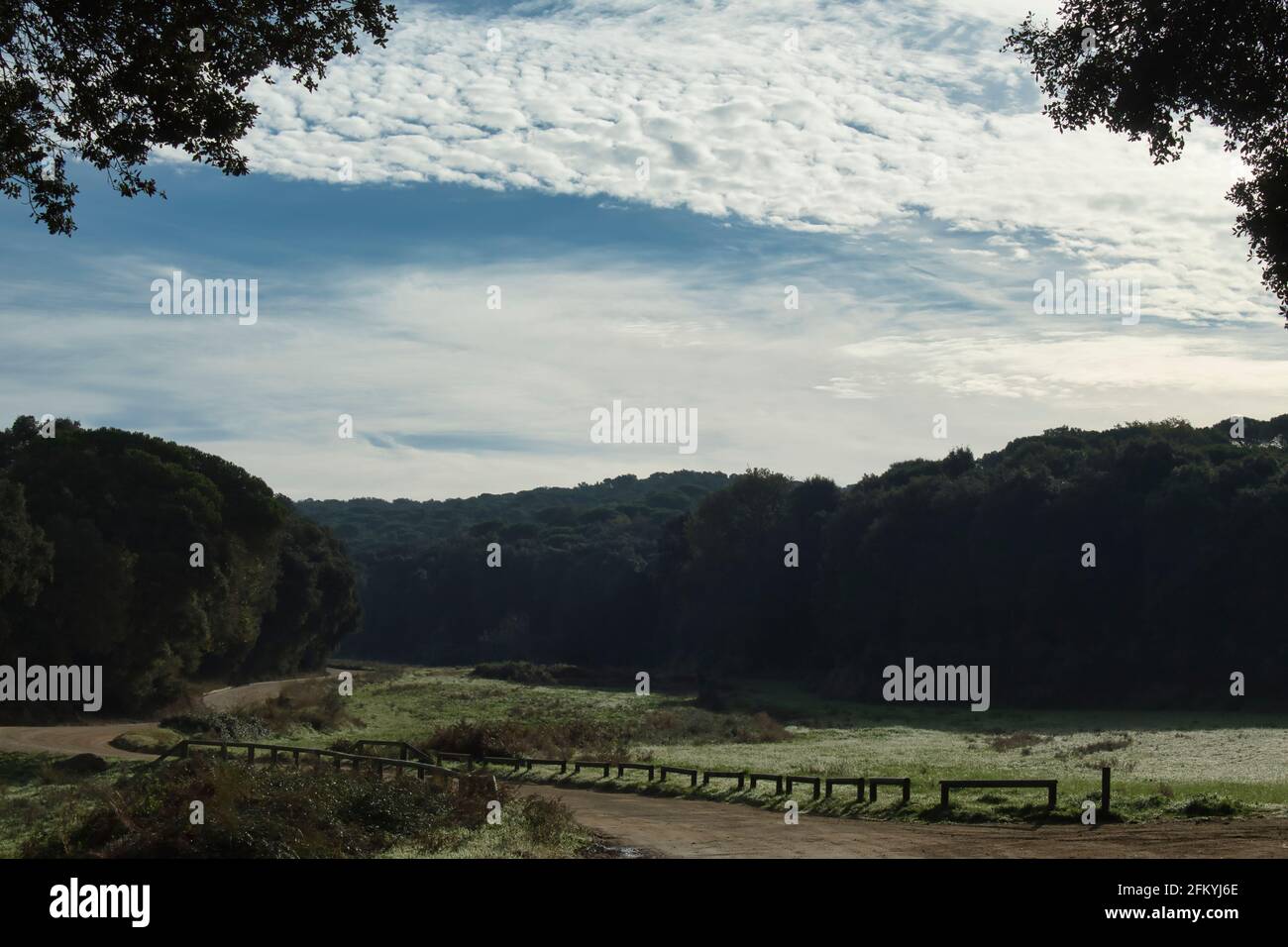 vue sur une forêt avec chemin avec clôtures en bois et ciel nuageux Banque D'Images
