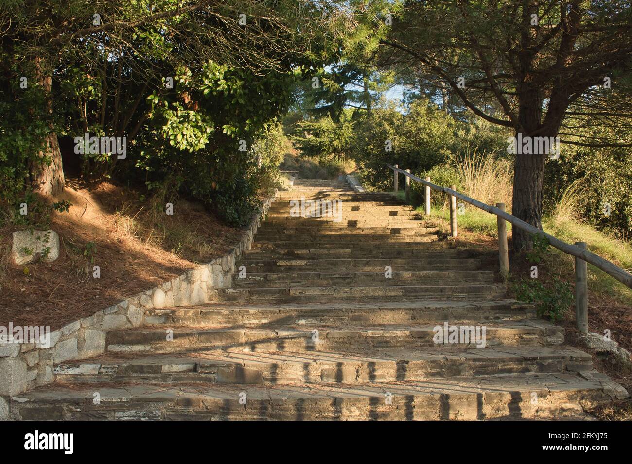 escalier en pierre avec main courante en bois dans la forêt Banque D'Images