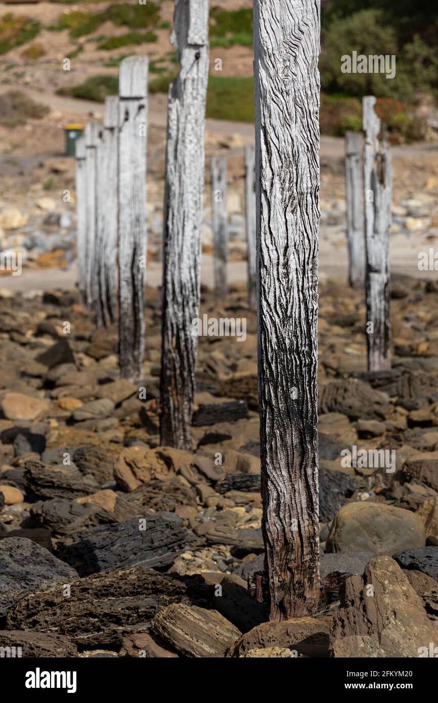 Les ruines de la jetée de la plage de myponga sur la péninsule de fleurieu au sud australie le 3 mai 2021 Banque D'Images