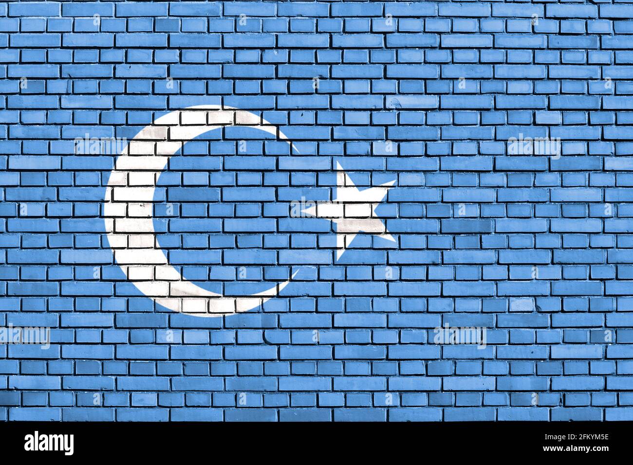 Drapeau de la République du Turkestan oriental peint sur un mur de briques Banque D'Images