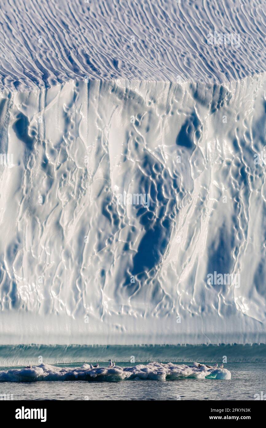 Des icebergs massifs ont été calés du glacier Jakobshavn Isbræ, site classé au patrimoine mondial de l'UNESCO, Ilulissat, Groenland. Banque D'Images