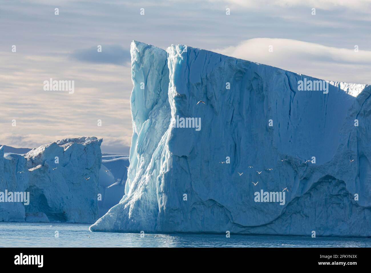 Des icebergs massifs ont été calés du glacier Jakobshavn Isbræ, site classé au patrimoine mondial de l'UNESCO, Ilulissat, Groenland. Banque D'Images